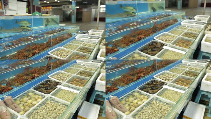 实拍海鲜市场购买各种海鲜 (2)