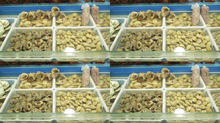 实拍海鲜市场海螺蚬子贝类 (2)
