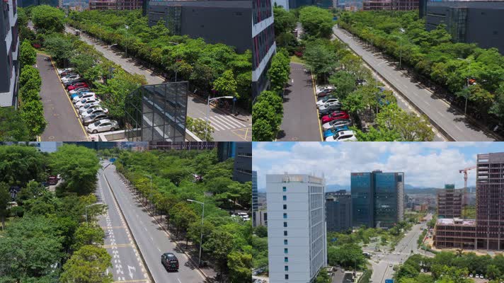 4k深圳街道视频夏天行道树茂盛的深圳道路