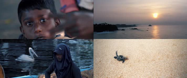 斯里兰卡宣传片，各景点本地人生活钓鱼