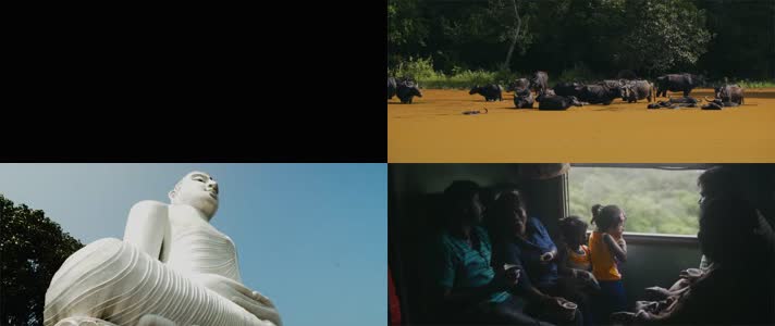 斯里兰卡宣传片，各景点本地人