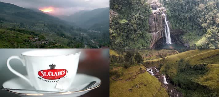 斯里兰卡宣传片，自然瀑布美女喝茶