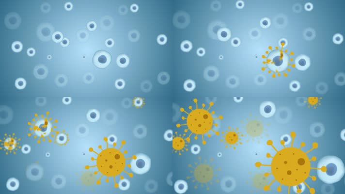 细胞感染病毒MG动画
