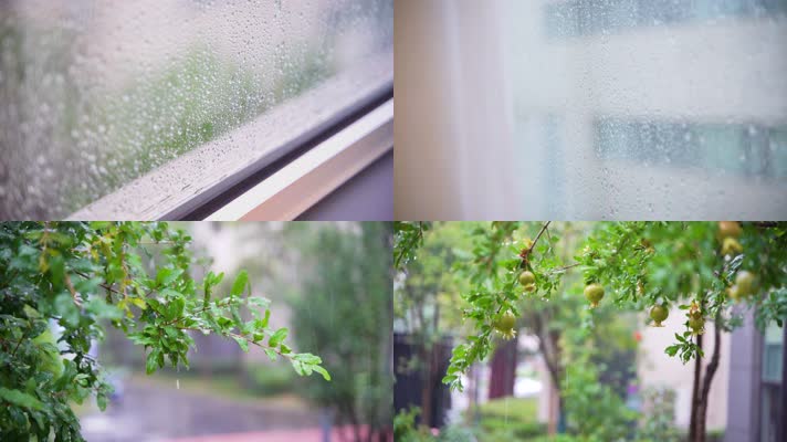 下雨素材集合绿植雨滴