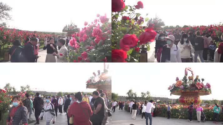 延时公园广场赏月季鲜花的游客