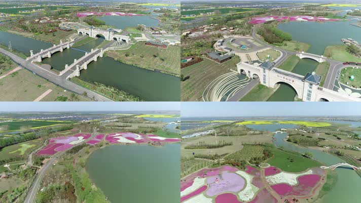 白马湖向日葵的故事景色（4K50帧）