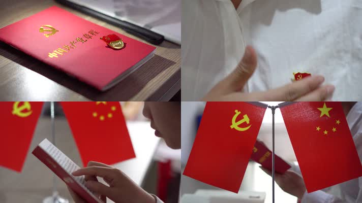 建党100周年红色主题教育共产党章程学习