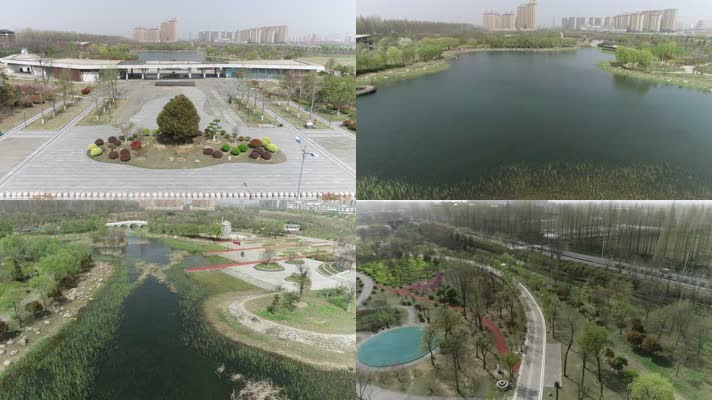 泗阳县湿地公园（4K50帧）