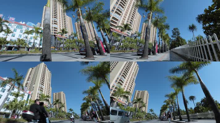 街景视频云南德宏芒市街景成排棕榈