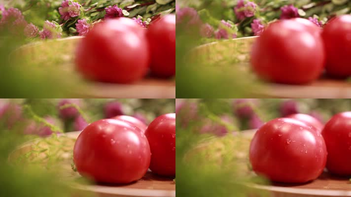 食材番茄西红柿 (4)