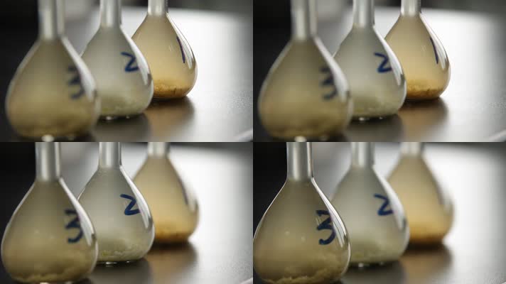 实验室检测榨菜亚硝酸盐 (18)