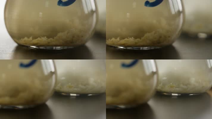 实验室检测榨菜亚硝酸盐 (20)