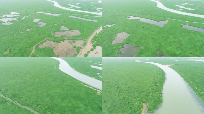 鄱阳湖湿地航拍素材（4K50帧）