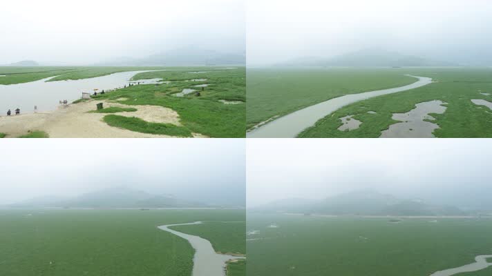 鄱阳湖航拍湿地（4K50帧）