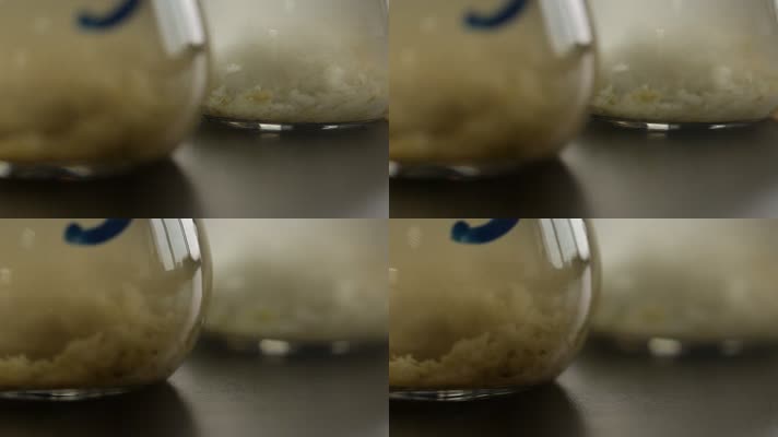 实验室检测榨菜亚硝酸盐 (19)