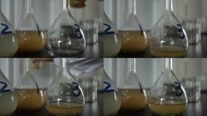 实验室检测榨菜亚硝酸盐 (14)