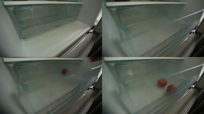 冰箱冷藏储存食物 (22)