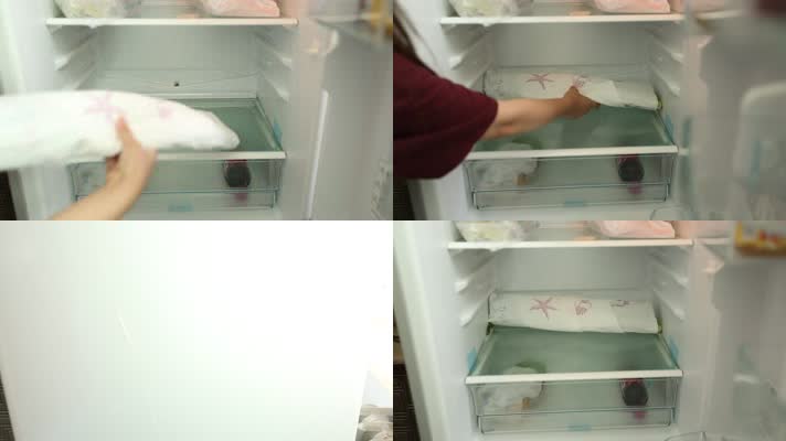 冰箱冷藏储存食物 (16)