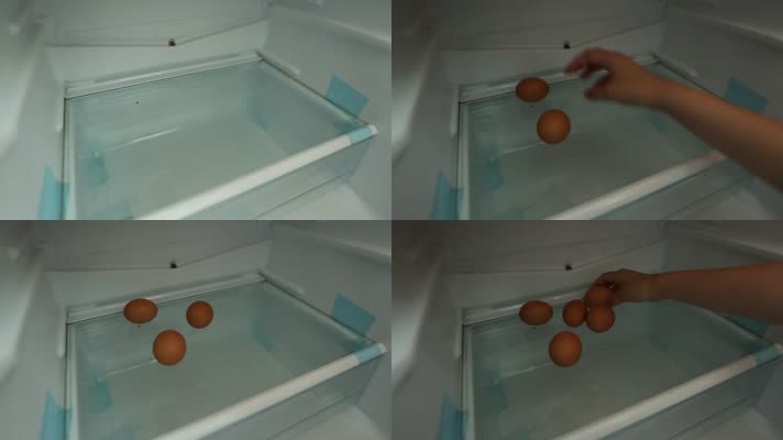 冰箱冷藏储存食物 (25)
