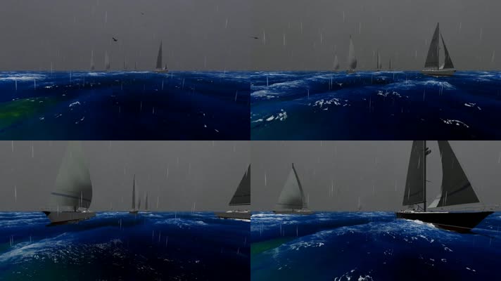 大海暴风雨海鸥帆船航行