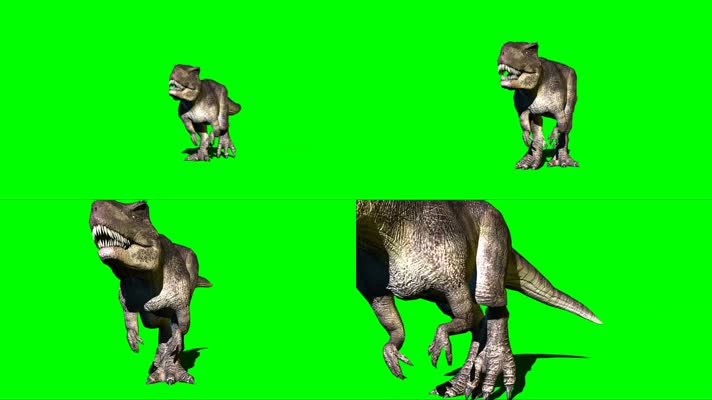 恐龙 绿幕抠像 三维恐龙  