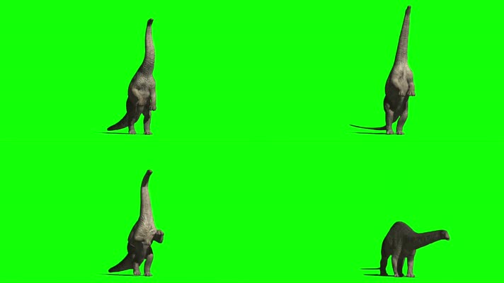 恐龙 绿幕抠像 三维恐龙 