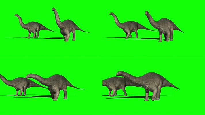 恐龙 绿幕抠像 三维恐龙  