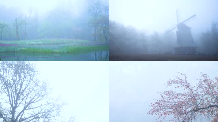 杭州西湖太子湾公园雾景