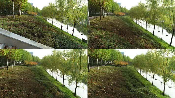 园林绿化喷洒喷灌（4K50帧）