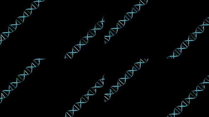 旋转DNA带透明通道