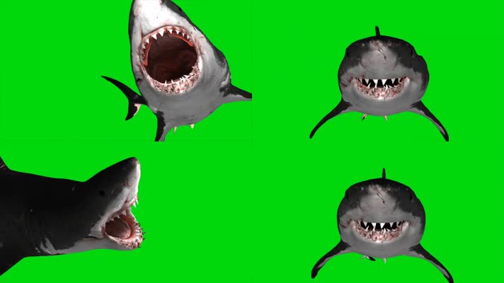 鲨鱼绿屏