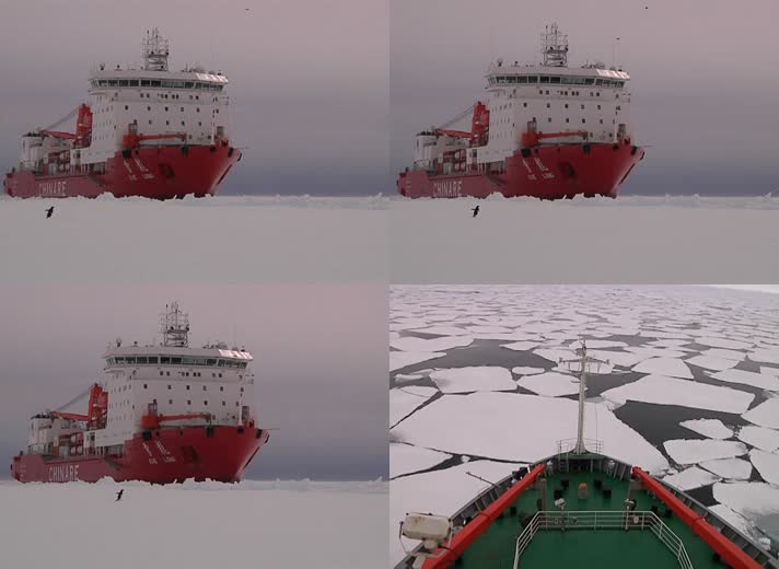 雪龙号南极北极科学考察