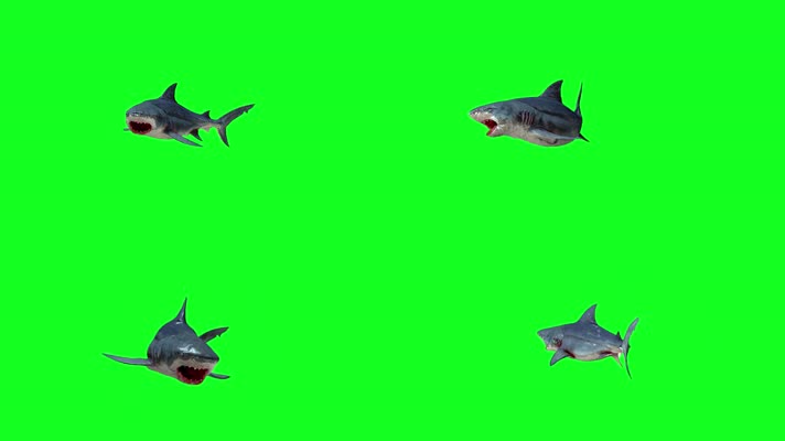 鲨鱼绿屏 (2)