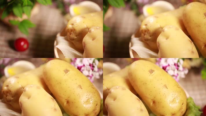 土豆马铃薯 (4)