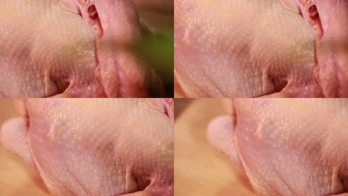 鸡肉肉质质量检查 (9)
