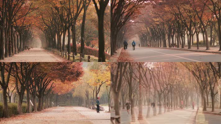 秋天公园，散步漫步，休闲生活