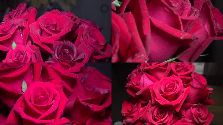 浪漫温馨红色玫瑰花
