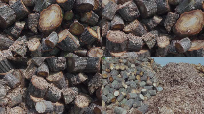4k木头视频成堆的被砍伐的树木树段
