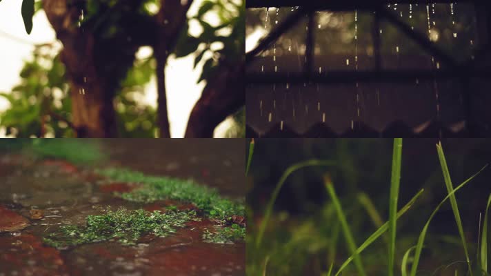 阴天阴雨，下雨植物房檐滴水