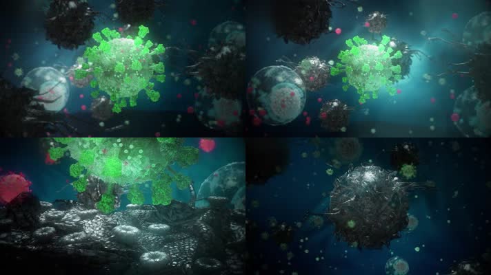 新冠状病毒病菌三维动画