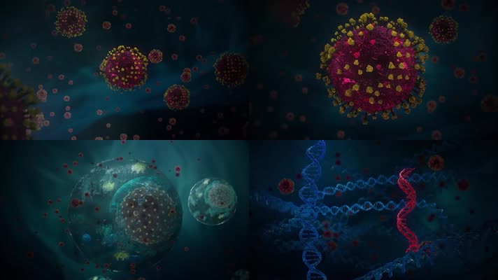 冠状病毒变异DNA三维动画