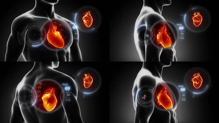 心臟跳動 心臟醫學動畫 生命 心臟跳動動畫 血液流動三維動畫 醫學