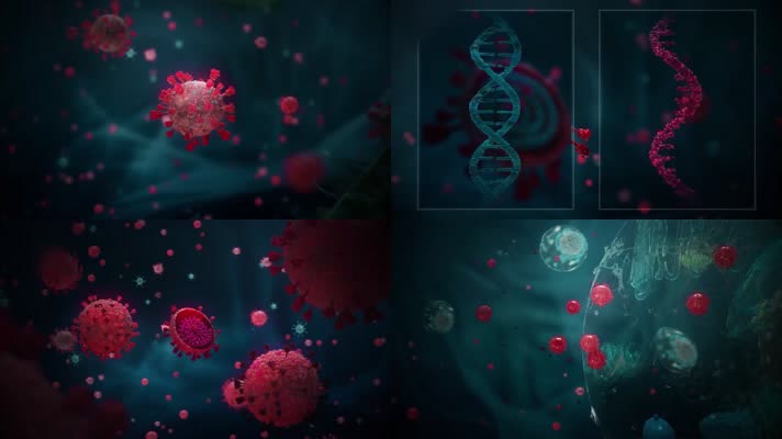 冠状病毒基因变异三维动画