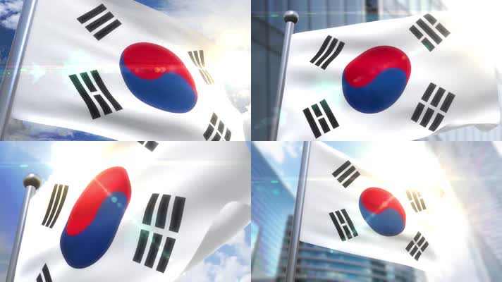 飘扬的韩国国旗