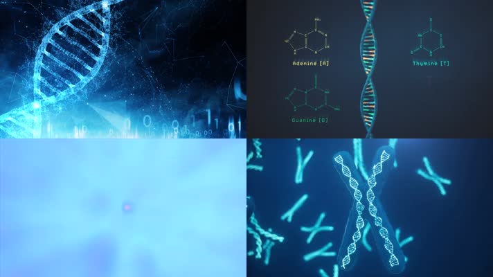 DNA基因科技染色体医学三维动画