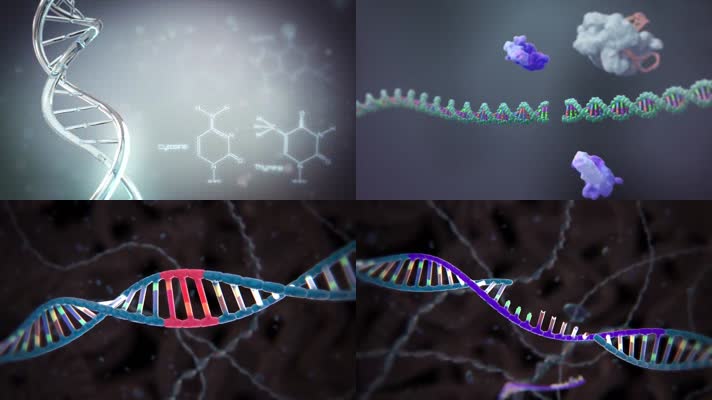DNA基因病毒免疫医学三维动画