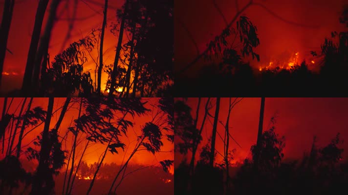 【4K】实拍森林大火野火山火，山林失火