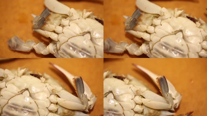拆分清洗梭子蟹螃蟹 (4)