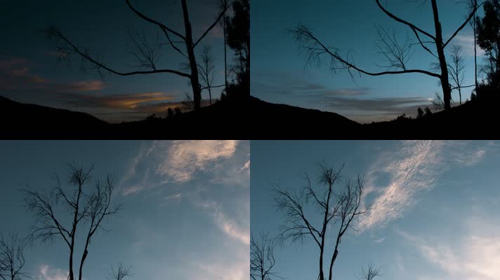 天亮延时视频冬季树梢上飘过的云霞