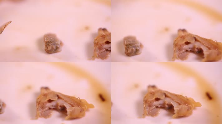 小海鲜花蛤蛏子肉 (2)